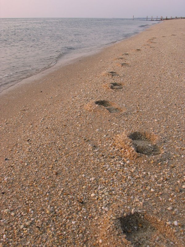Footprints - Cape May, NJ