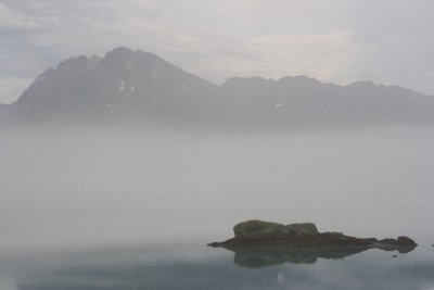 Foggy Morning