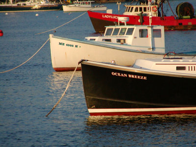 Lobster Boats - Bar Harbor, ME