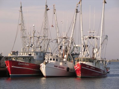 Fishing Boats - Cape May, NJ