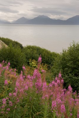 Kachemak Bay Evening