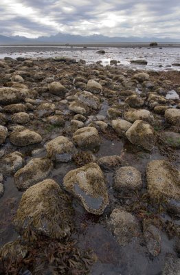 When the tide is out, the table is set -Tlingit Saying