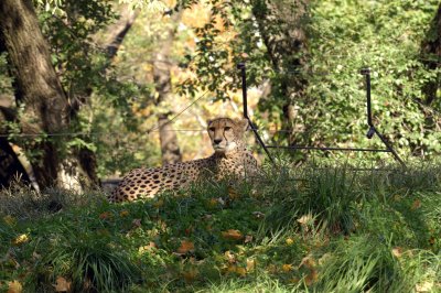 national_zoo_2006