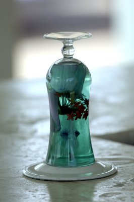 Flowers 1.jpg