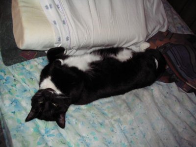 Picture2 002.jpg