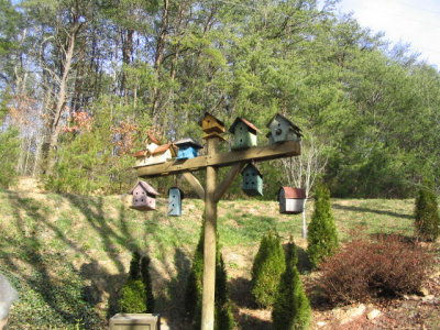 birdhouses.jpg