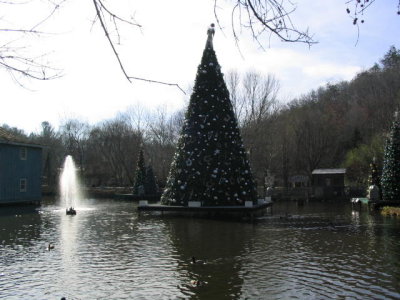 DwoodXmas3.jpg
