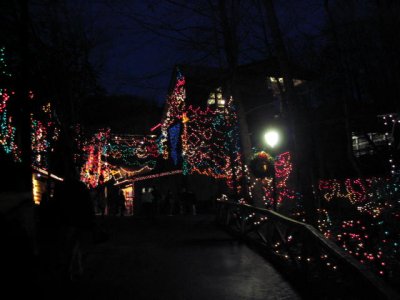 DwoodXmas7.jpg