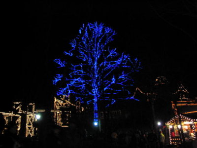 DwoodXmas11.jpg