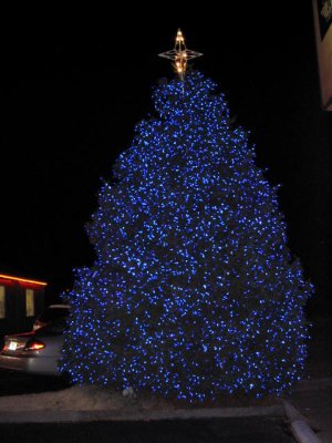 PigeonForge21.jpg