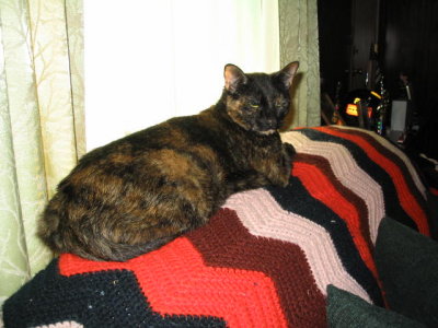Picture2 073.jpg