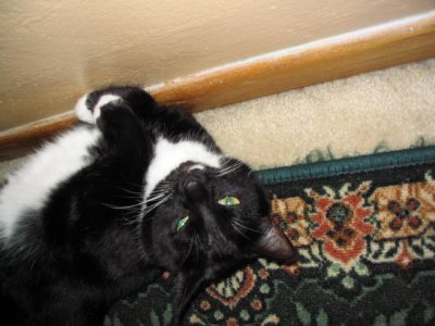Picture2 005.jpg