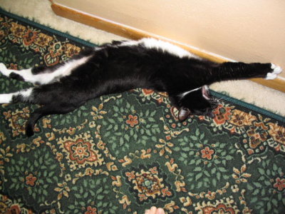 Picture2 007.jpg