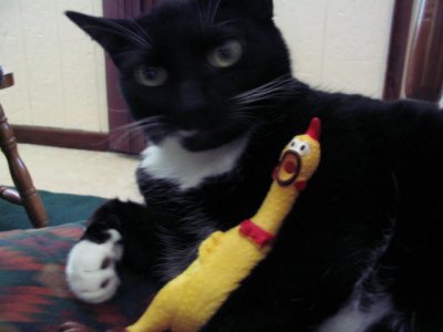 Picture2 012.jpg