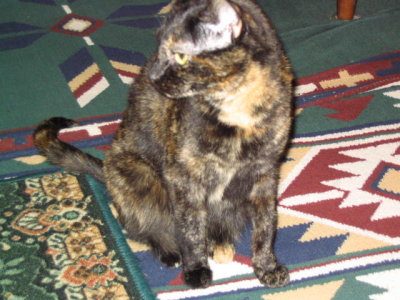 Picture2 020.jpg