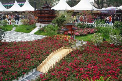 HK Flower Show 2006