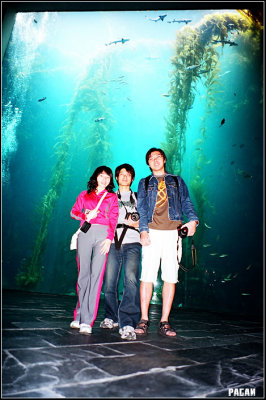 98980014 copy.jpg