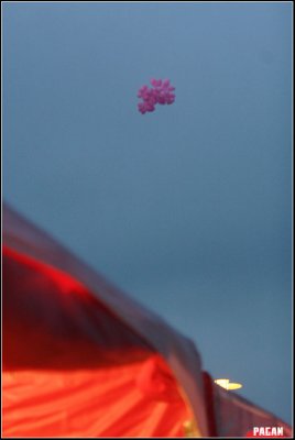 IMG_8963 copy.jpg
