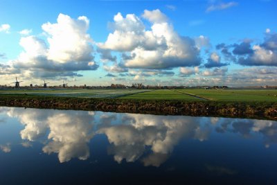 Ruysdael views
