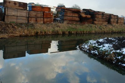 Wood reflection