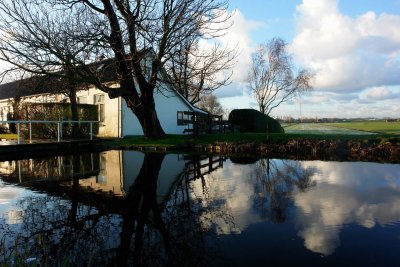 Reflected house