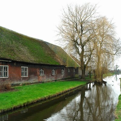 Barn and tree