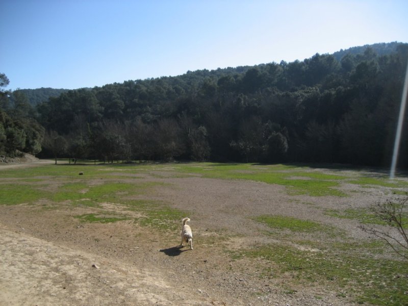 A 5 minutos andando desde donde aparcais el coche encontrais esta explanada!