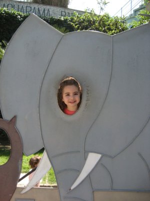 IMG_4053.jpg