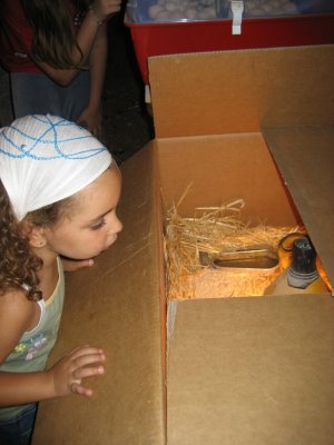 Imagen 067.jpg