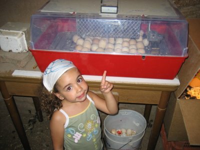 Imagen 078.jpg