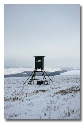 Deer stand in winter