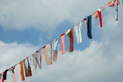 DSC_17910.jpg