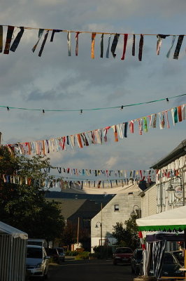DSC_17924.jpg