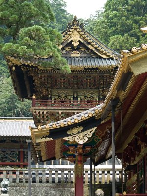 Nikko_11