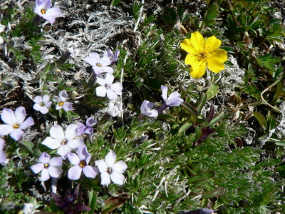 Enchantments035.JPG