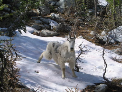 Enchantments053.JPG