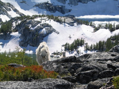 Enchantments072.JPG