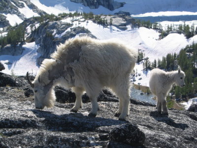 Enchantments074.JPG