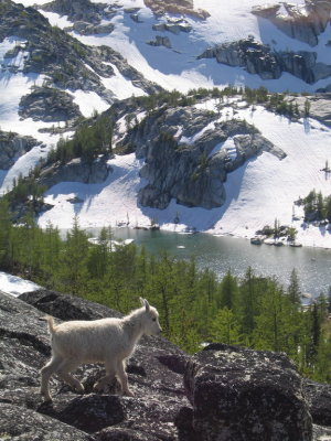 Enchantments075.JPG