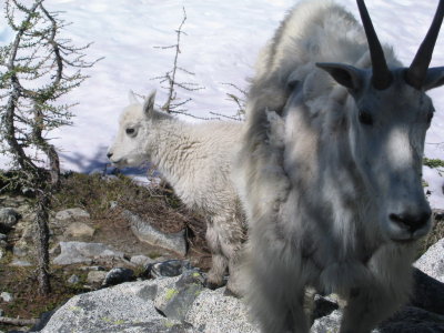 Enchantments092.JPG