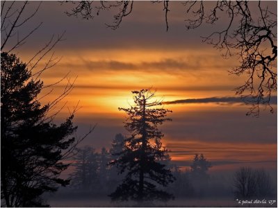 ANOTHER WINTER SUNRISE HERE IN SW WASHINGTON