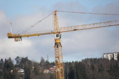 Crane. (Zoom test)