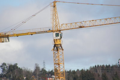 Crane. (Zoom test)