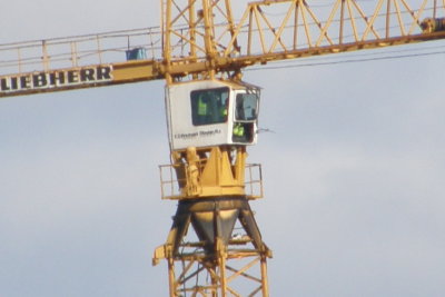 Crane (Zoom test-Cropped)