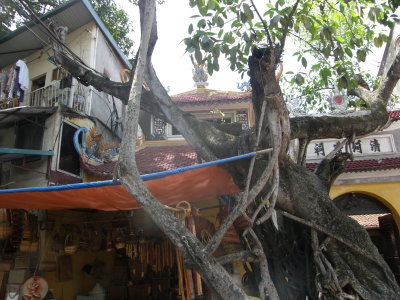 Tree with house