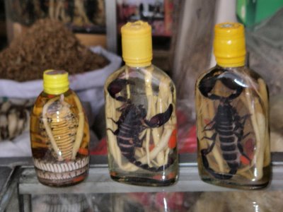 Snake- and scorpion wine