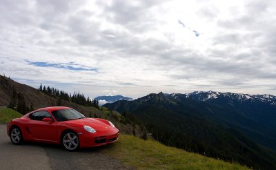 Cayman on Hurricane Ridge.jpg