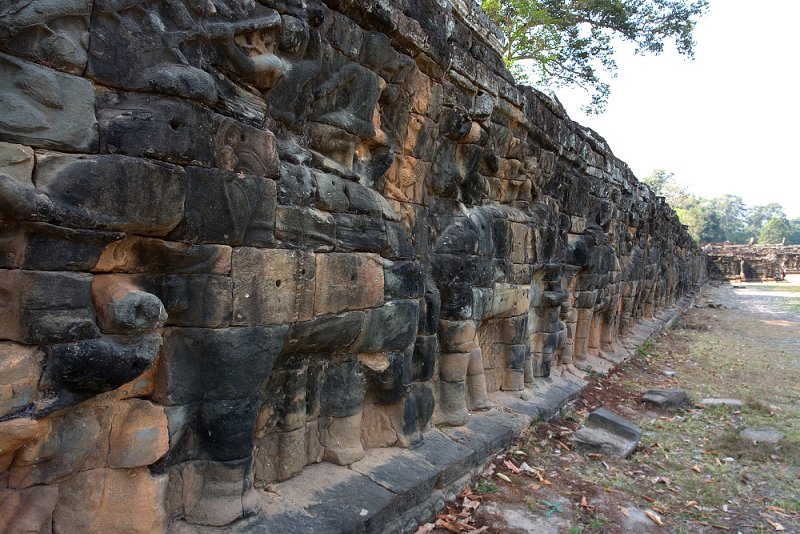 Elephant Terrace