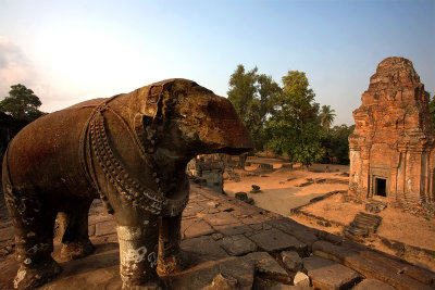 Elephants on one level