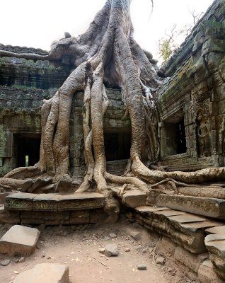 Ta Prohm